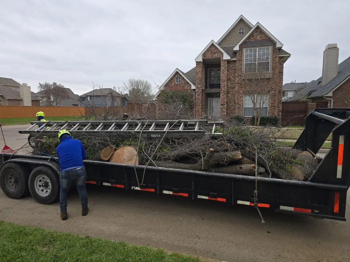 Expert Tree Pest Control with proper safety equipment in Wolverine